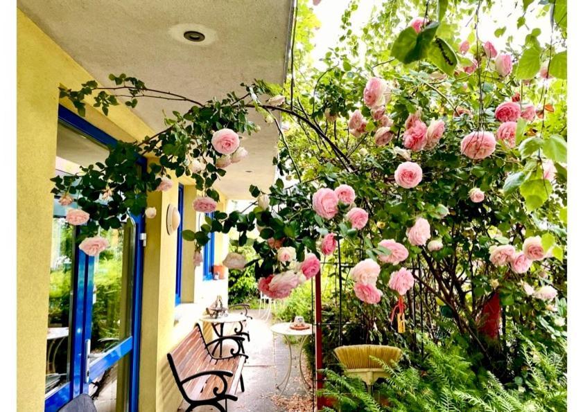 Gaestezimmer Puzwidu Wien Ngoại thất bức ảnh